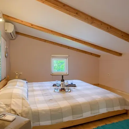 House Michelle Šišan