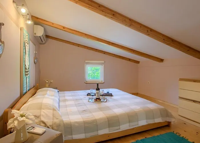 House Michelle Šišan